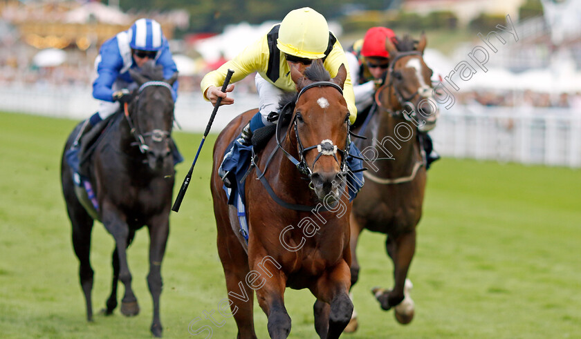 Jadoomi-0003 
 JADOOMI (William Buick) wins The William Hill Celebration Mile
Goodwood 27 Aug 2022 - Pic Steven Cargill / Racingfotos.com