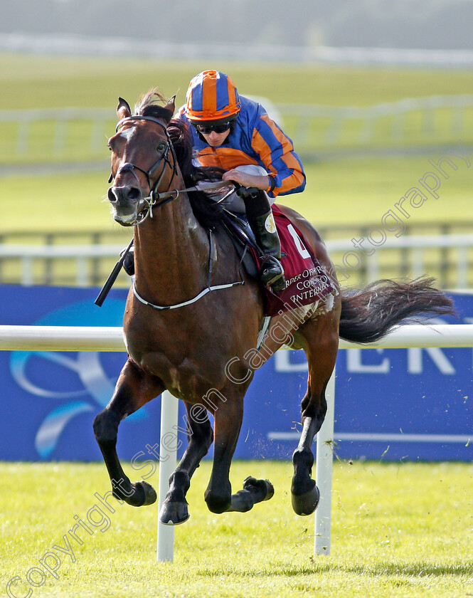 Order-Of-St-George-0006 
 ORDER OF ST GEORGE (Ryan Moore) wins The Comer Group International Irish St Leger Curragh 10 Sep 2017 - Pic Steven Cargill / Racingfotos.com