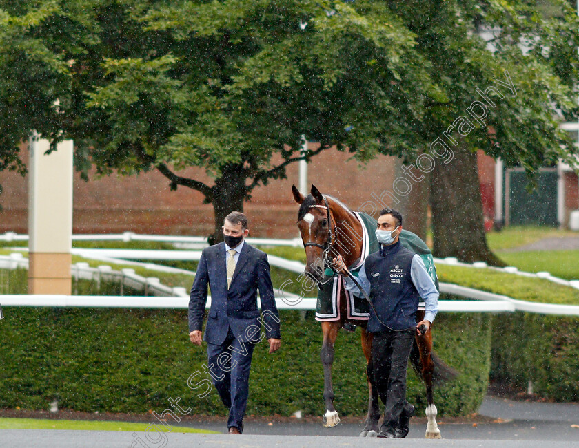 Enable-0006 
 ENABLE before winning The King George VI and Queen Elizabeth Stakes
Ascot 25 Jul 2020 - Pic Steven Cargill / Racingfotos.com