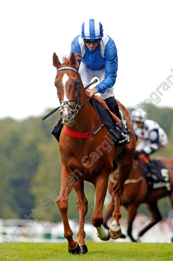 Mutaabeq-0001 
 MUTAABEQ (Jim Crowley)
Sandown 31 Aug 2019 - Pic Steven Cargill / Racingfotos.com