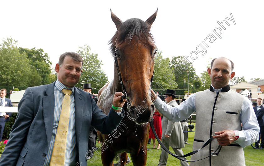 Monarchs-Glen-0005 
 MONARCHS GLEN after The Wolferton Stakes
Royal Ascot 19 Jun 2018 - Pic Steven Cargill / Racingfotos.com