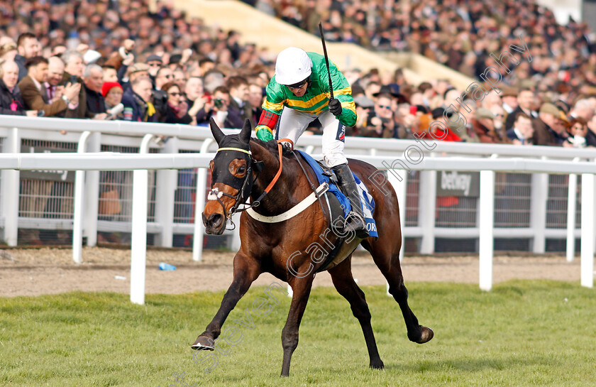 Dame-De-Compagnie-0003 
 DAME DE COMPAGNIE (Barry Geraghty) wins The Coral Cup
Cheltenham 11 Mar 2020 - Pic Steven Cargill / Racingfotos.com