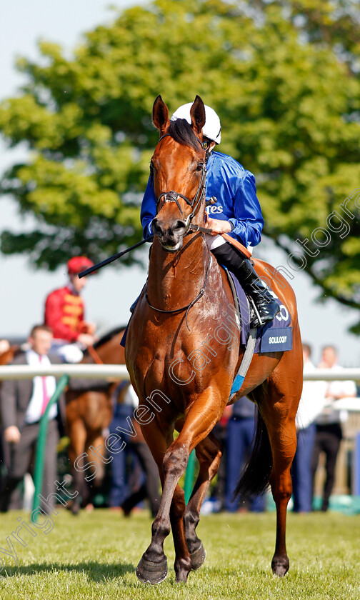 Soliloquy-0001 
 SOLILOQUY (William Buick) Newmarket 6 May 2018 - Pic Steven Cargill / Racingfotos.com