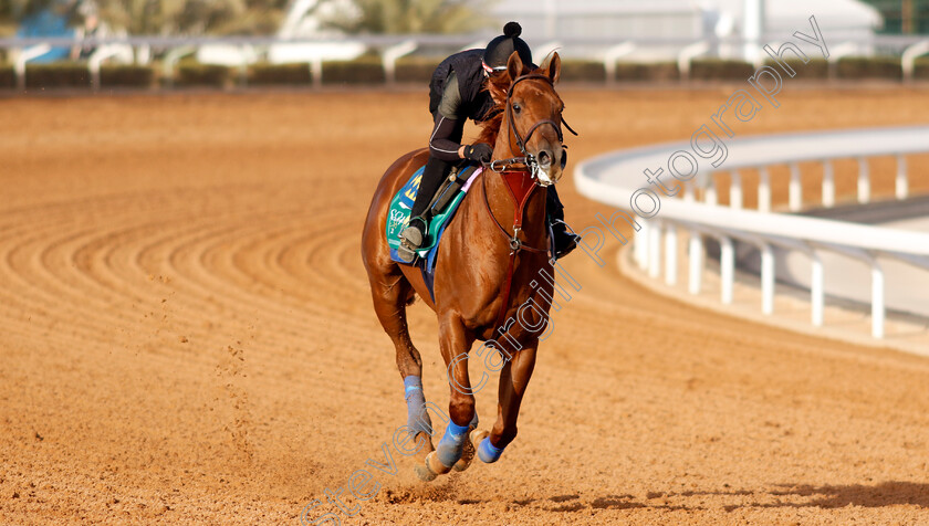 Taiba-0010 
 TAIBA training for the Saudi Cup
King Abdulaziz Racecourse, Kingdom Of Saudi Arabia, 23 Feb 2023 - Pic Steven Cargill / Racingfotos.com