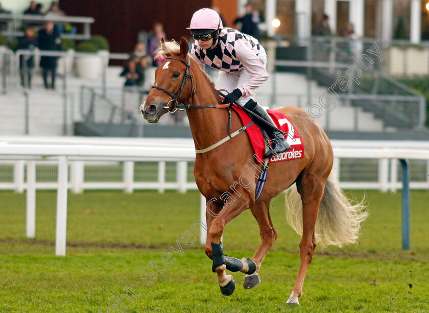 Secret-Squirrel-0001 
 SECRET SQUIRREL (David Bass)
Ascot 21 Dec 2024 - Pic Steven Cargill / Racingfotos.com