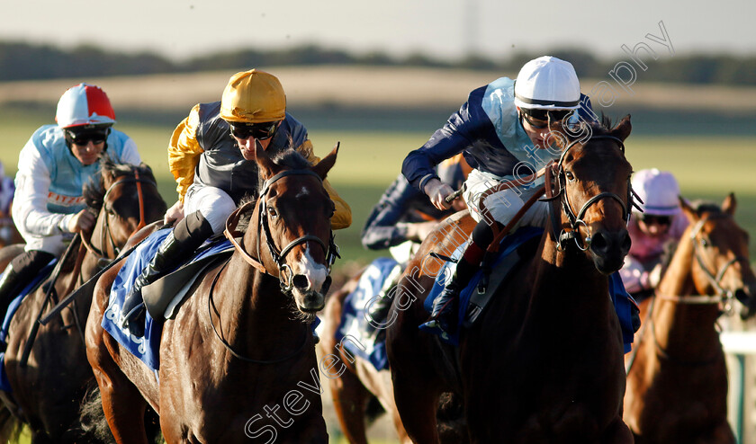 Fair-Angellica-0003 
 FAIR ANGELLICA (right, David Egan) beats WITNESS STAND (left) in The Godolphin Flying Start Nursery
Newmarket 14 Oct 2023 - Pic Steven Cargill / Racingfotos.com