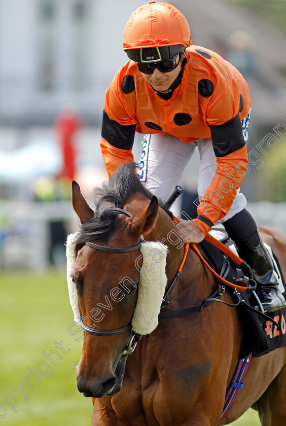 Rolling-The-Dice 
 ROLLING THE DICE (Marco Ghiani)
Epsom 4 Jun 2022 - Pic Steven Cargill / Racingfotos.com