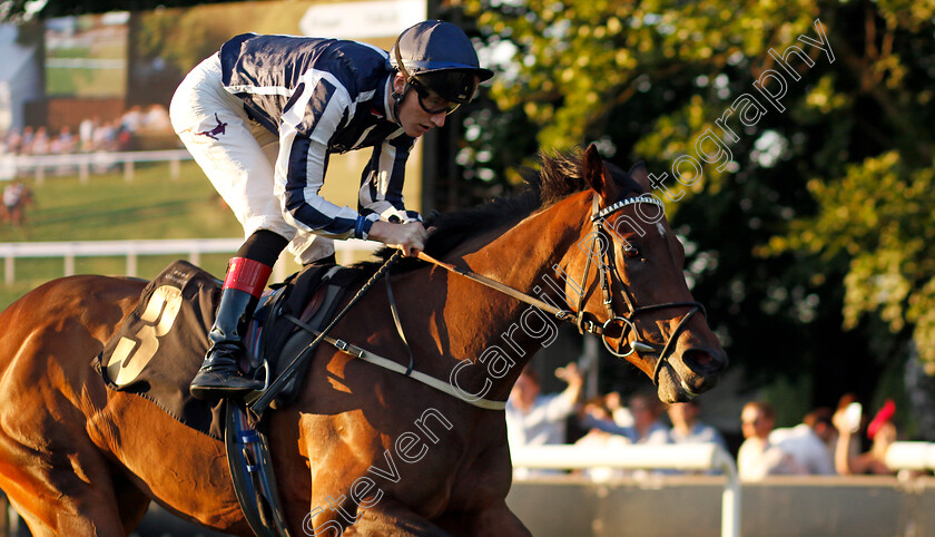 Albeseeingyer-0003 
 ALBESEEINGYER (David Egan) wins The Maritime Cargo Services Smart Customs Clearance Fillies Handicap
Newmarket 9 Aug 2024 - Pic Steven Cargill / Racingfotos.com