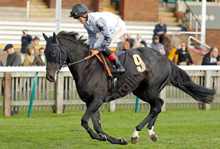 Mr-Big-Stuff 
 MR BIG STUFF (Angus Villiers)
Newmarket 20 Oct 2021 - Pic Steven Cargill / Racingfotos.com