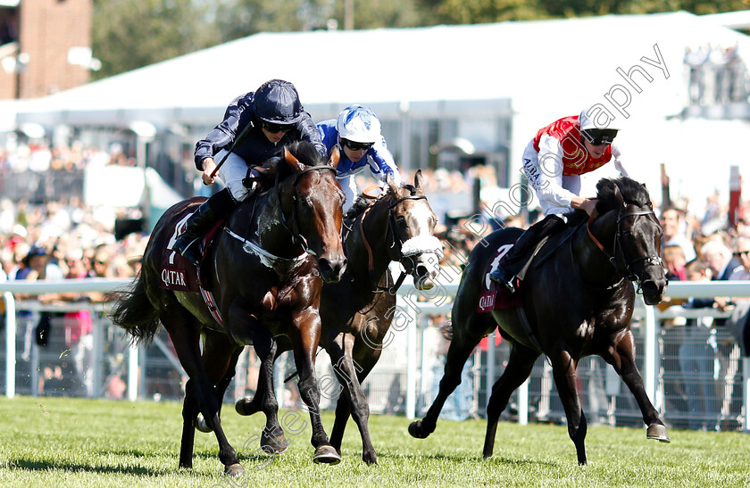 Land-Force-0002 
 LAND FORCE (Ryan Moore) wins The Qatar Richmond Stakes
Goodwood 2 Aug 2018 - Pic Steven Cargill / Racingfotos.com