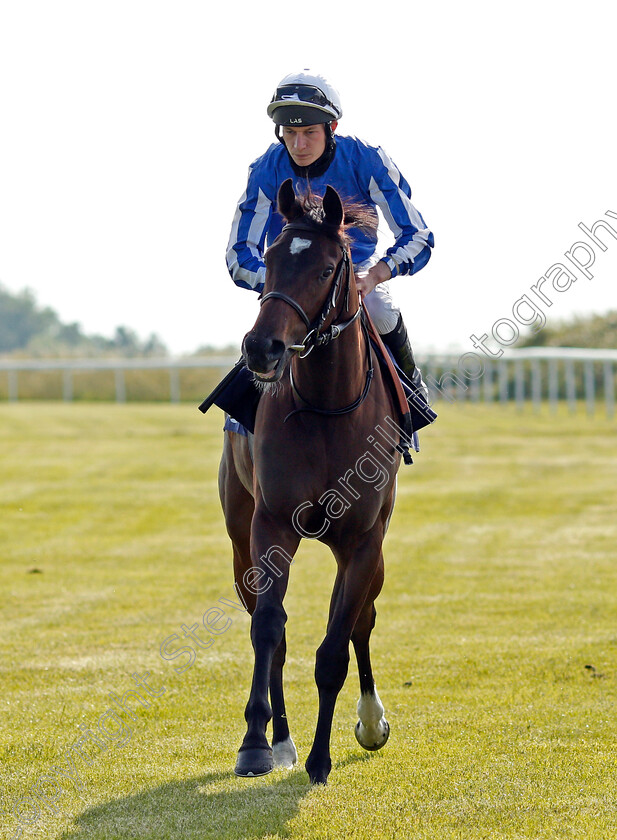 Majesty s-Pleasure-0001 
 MAJESTY'S PLEASURE (Luke Morris)
Bath 23 Jun 2021 - Pic Steven Cargill / Racingfotos.com