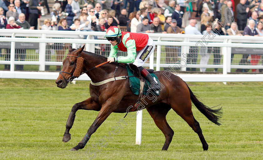 Le-Patriote-0004 
 LE PATRIOTE (Sam Twiston-Davies) wins The Kingston Stud Handicap Hurdle
Cheltenham 17 Apr 2019 - Pic Steven Cargill / Racingfotos.com