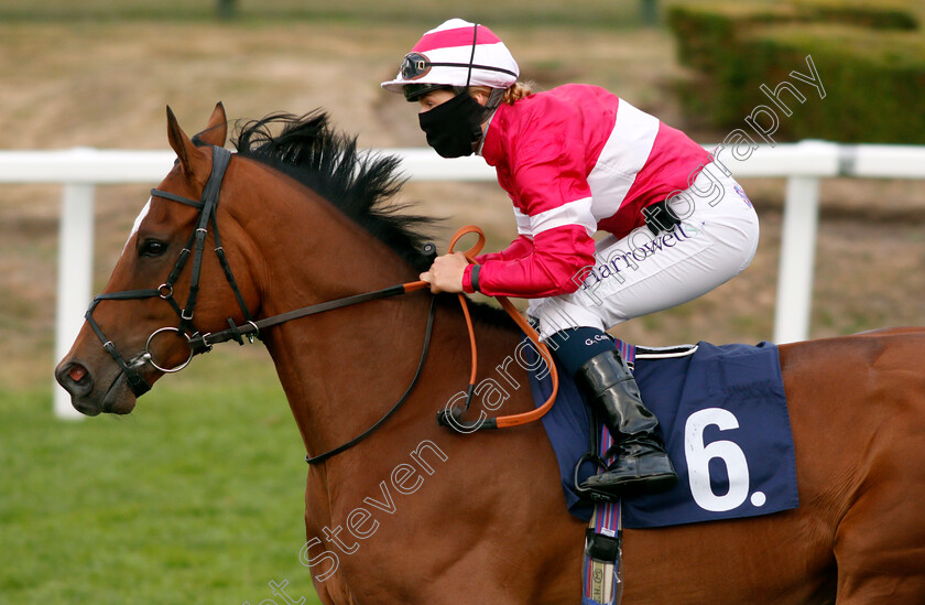 Piranesi-0001 
 PIRANESI (Georgia Cox) winner of The Free Daily Tips On attheraces.com Novice Stakes
Yarmouth 28 Jul 2020 - Pic Steven Cargill / Racingfotos.com