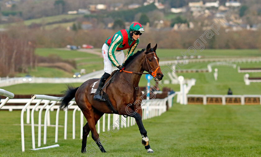 Jet-Blue-0007 
 JET BLUE (James Reveley) winner of The Albert Bartlett Novices Hurdle
Cheltenham 14 Dec 2024 - Pic Steven Cargill / Racingfotos.com