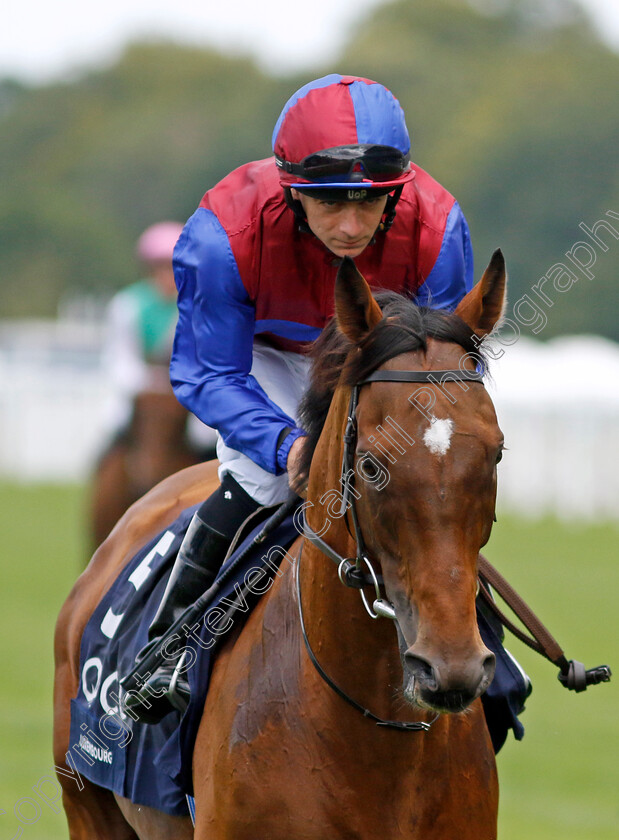 Luxembourg-0002 
 LUXEMBOURG (Wayne Lordan)
Ascot 27 Jul 2024 - Pic Steven Cargill / Racingfotos.com