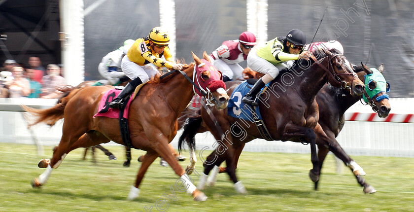 Family-Tree-0001 
 FAMILY TREE (left, Sheldon Russell) beats JO'S BOLD CAT (centre) in Optional Claimer
Pimlico, Baltimore USA, 17 May 2019 - Pic Steven Cargill / Racingfotos.com