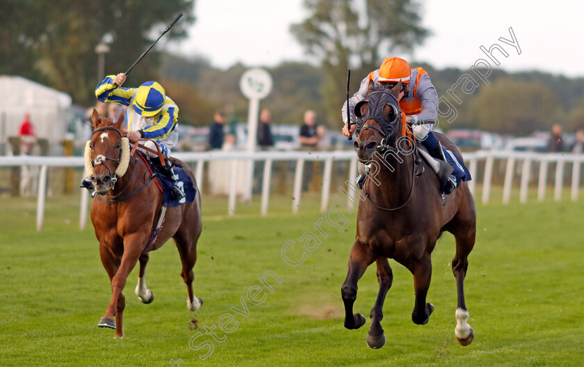 Jungle-Run-0003 
 JUNGLE RUN (right, Connor Planas) beats ENCHANTED NIGHT (left) in The Free Digital Racecard At raceday-ready.com Handicap
Yarmouth 17 Sep 2024 - Pic Steven Cargill / Racingfotos.com