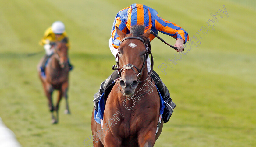 New-World-Tapestry-0003 
 NEW WORLD TAPESTRY (Ryan Moore) wins The Derrinstown Irish EBF Maiden Stakes
Newmarket 27 Sep 2019 - Pic Steven Cargill / Racingfotos.com