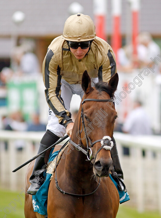 Pure-Angel-0001 
 PURE ANGEL (P J McDonald)
York 17 Jun 2023 - Pic Steven Cargill / Racingfotos.com