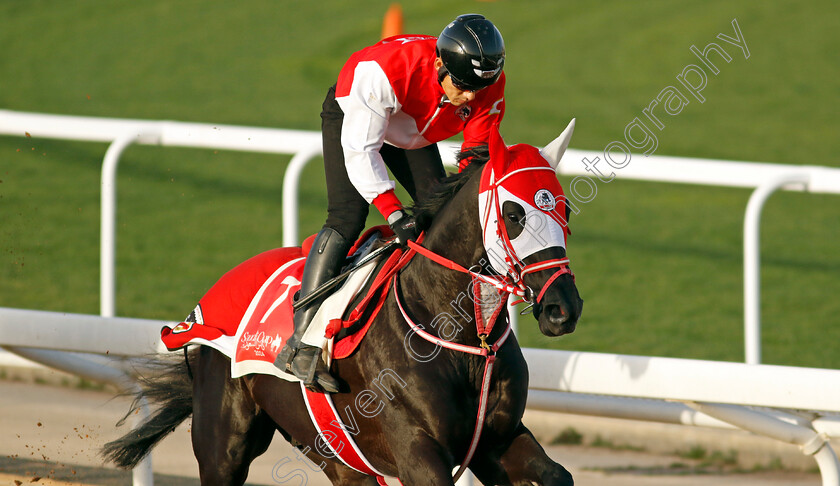 Libyan-Glass-0001 
 LIBYAN GLASS training for The Red Sea Turf Handicap
King Abdulaziz Racecourse, Saudi Arabia 20 Feb 2024 - Pic Steven Cargill / Racingfotos.com