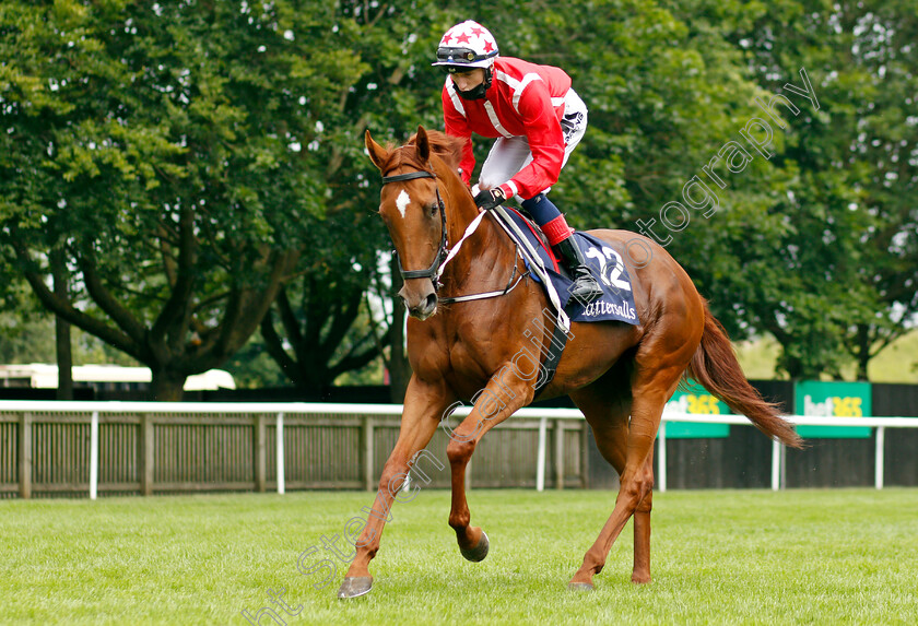 Saffron-Beach-0001 
 SAFFRON BEACH (David Egan)
Newmarket 9 Jul 2021 - Pic Steven Cargill / Racingfotos.com