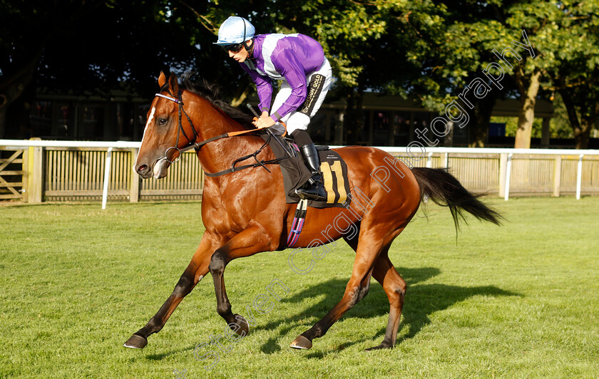 Quick-Point-0001 
 QUICK POINT (George Wood)
Newmarket 9 Aug 2024 - Pic Steven Cargill / Racingfotos.com