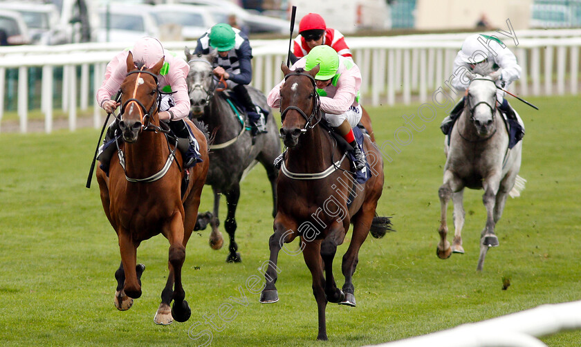 Thomas-Hobson-0003 
 THOMAS HOBSON (left, Ryan Moore) beats MAX DYNAMITE (right) in The Doncaster Cup Stakes
Doncaster 14 Sep 2018 - Pic Steven Cargill / Racingfotos.com