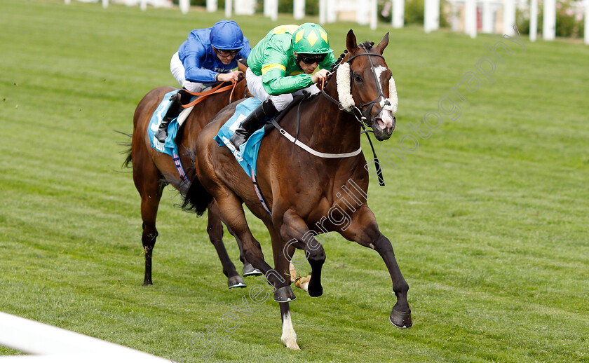 Kelly s-Dino-0003 
 KELLY'S DINO (Ben Curtis) wins The JGR Handicap
Ascot 27 Jul 2018 - Pic Steven Cargill / Racingfotos.com