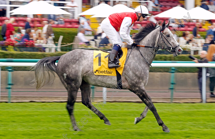 Jasour-0001 
 JASOUR (Jim Crowley)
Haydock 7 Sep 2024 - Pic Steven Cargill / Racingfotos.com