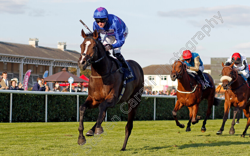 Shout-0001 
 SHOUT (Robert Havlin) wins The Believe Money Confined Nursery
Doncaster 13 Sep 2024 - Pic Steven Cargill / Racingfotos.com