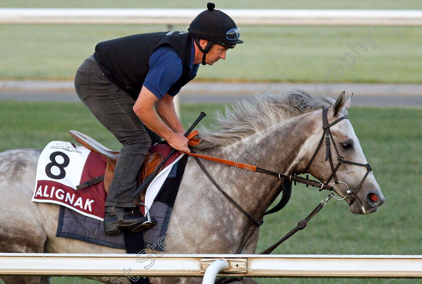 Alignak-0002 
 ALIGNAK training for the Dubai Gold Cup
Meydan, Dubai, 22 Mar 2022 - Pic Steven Cargill / Racingfotos.com