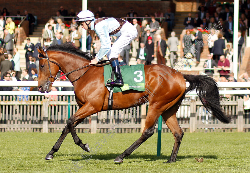 Fairyland-0001 
 FAIRYLAND (Donnacha O'Brien) before The Juddmonte Cheveley Park Stakes
Newmarket 29 Sep 2018 - Pic Steven Cargill / Racingfotos.com