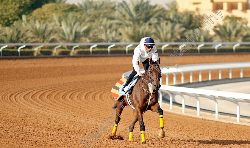 Tall-Order-0001 
 TALL ORDER training for The International Handicap
King Abdulaziz Racecourse, Kingdom of Saudi Arabia, 22 Feb 2023 - Pic Steven Cargill / Racingfotos.com