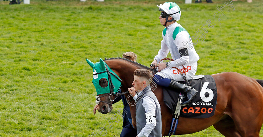 Hoo-Ya-Mal-0001 
 HOO YA MAL (David Probert)
Epsom 4 Jun 2022 - Pic Steven Cargill / Racingfotos.com