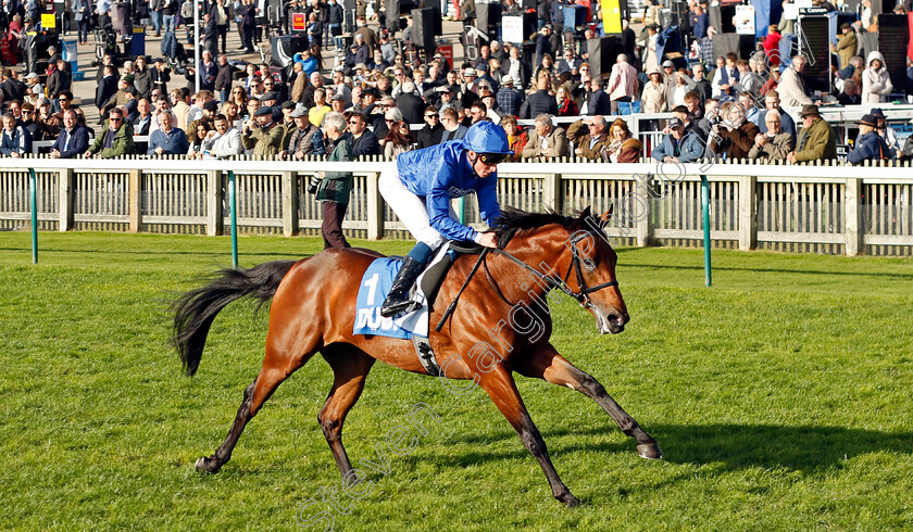 Arabian-Crown-0005 
 ARABIAN CROWN (William Buick) wins The Zetland Stakes
Newmarket 14 Oct 2023 - Pic Steven Cargill / Racingfotos.com