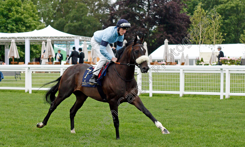 Title-0001 
 TITLE (David Egan)
Royal Ascot 18 Jun 2021 - Pic Steven Cargill / Racingfotos.com