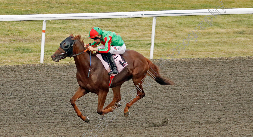 Irrelevant-0005 
 IRRELEVANT (Finley Marsh) wins The Skyline Roofing Centre's Nursery
Kempton 8 Sep 2023 - Pic Steven Cargill / Racingfotos.com