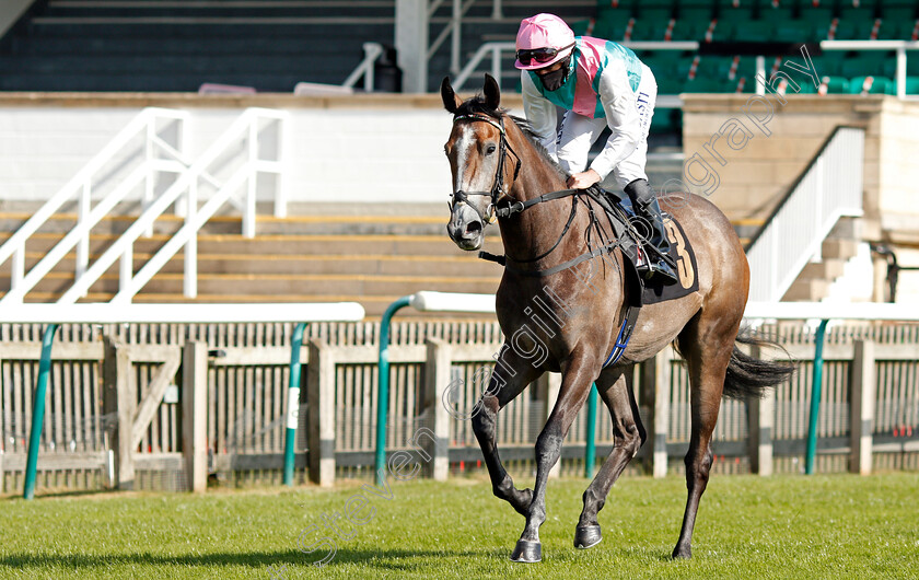 Monsoon-Moon-0004 
 MONSOON MOON (Ryan Moore) before winning The Close Brothers Motor Finance EBF Stallions Fillies Novice Stakes
Newmarket 19 Sep 2020 - Pic Steven Cargill / Racingfotos.com