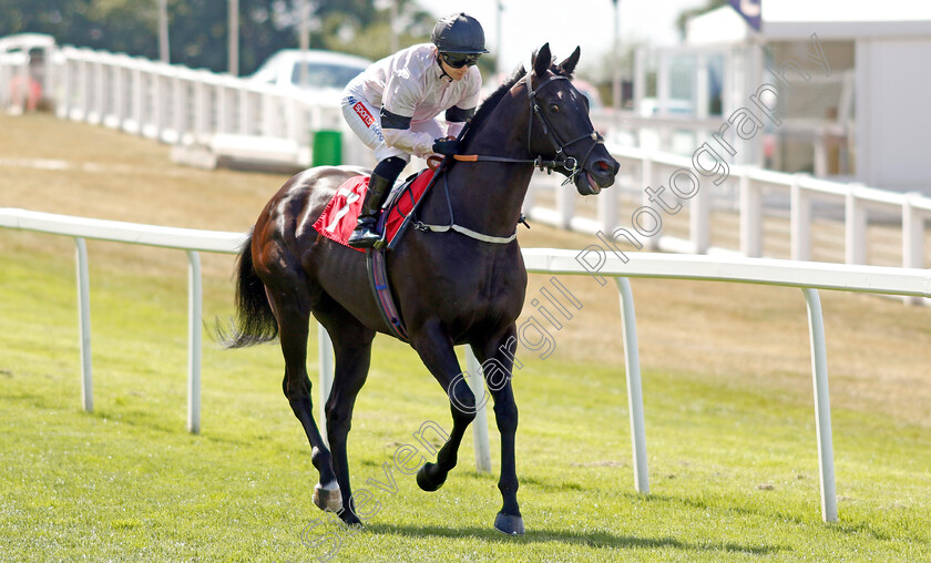 Autumn-Festival-0001 
 AUTUMN FESTIVAL (Hollie Doyle)
Sandown 1 Jul 2022 - Pic Steven Cargill / Racingfotos.com