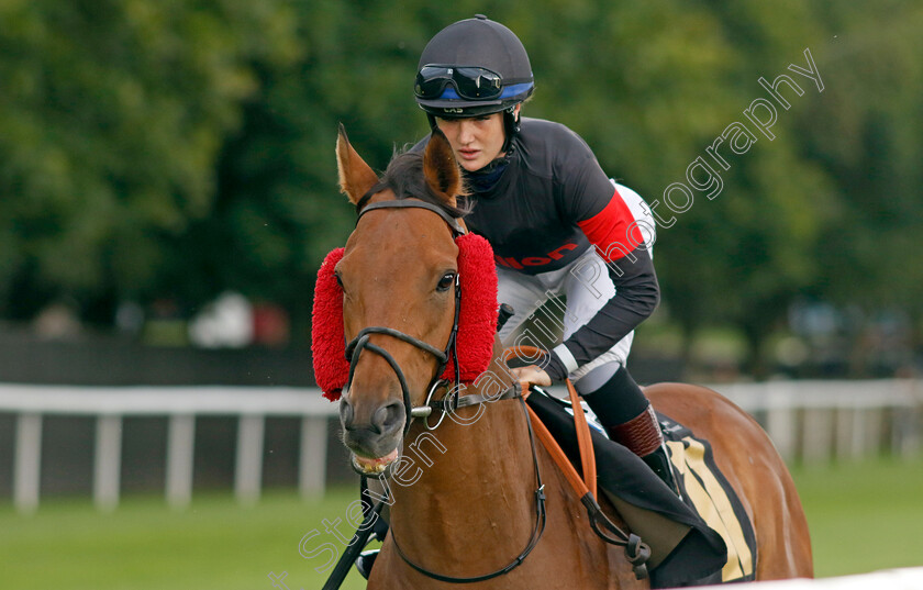 Porfin-0007 
 PORFIN (Molly Presland) winner of The racingtv.com Handicap
Newmarket 4 Aug 2023 - Pic Steven Cargill / Racingfotos.com