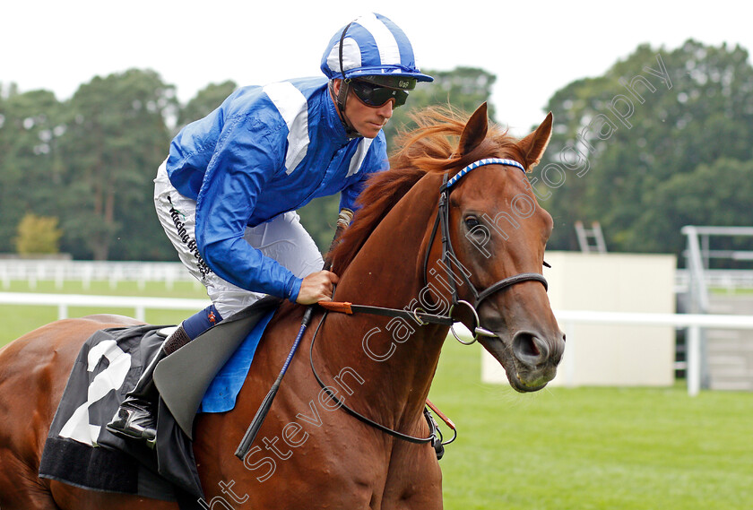 Molatham-0002 
 MOLATHAM (Jim Crowley)
Ascot 26 Jul 2019 - Pic Steven Cargill / Racingfotos.com