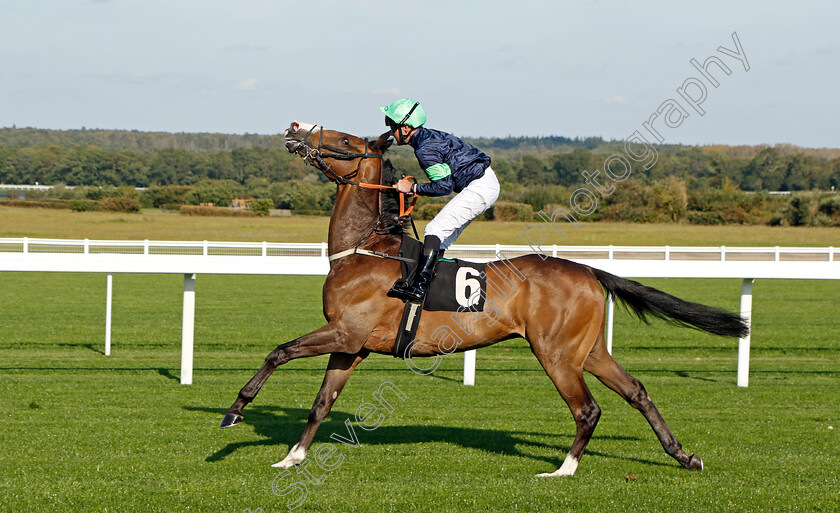 Through-The-Ages-0001 
 THROUGH THE AGES (Tom Queally)
Ascot 6 Oct 2023 - Pic Steven Cargill / Racingfotos.com