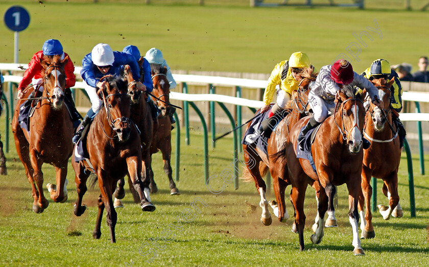 Key-Victory-0002 
 KEY VICTORY (left, William Buick) beats QAYSAR (right) in The 32Red.com Novice Stakes Newmarket 25 Oct 2017 - Pic Steven Cargill / Racingfotos.com