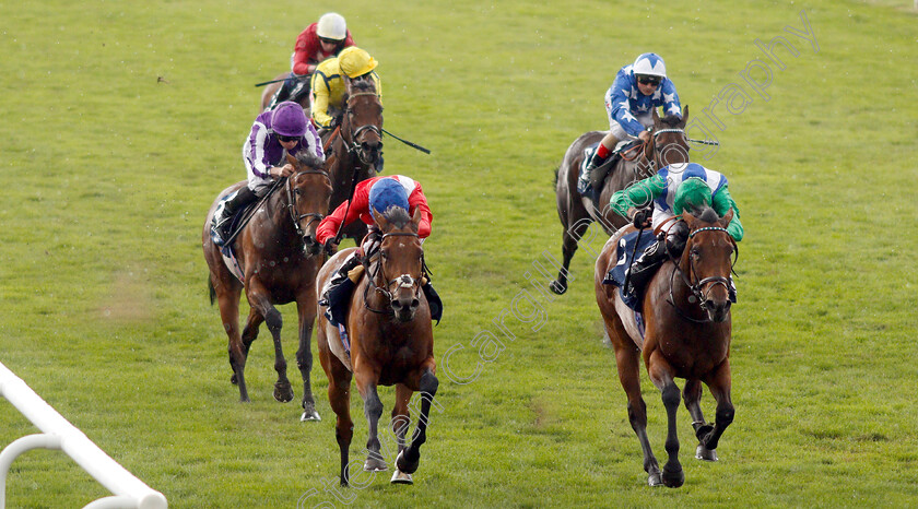 Veracious-0009 
 VERACIOUS (left, Oisin Murphy) beats ONE MASTER (right) in The Tattersalls Falmouth Stakes
Newmarket 12 Jul 2019 - Pic Steven Cargill / Racingfotos.com