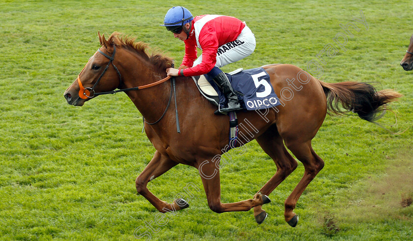 Threat-0005 
 THREAT (Tom Marquand) wins The Hot Streak Maiden Stakes
Newmarket 5 May 2019 - Pic Steven Cargill / Racingfotos.com