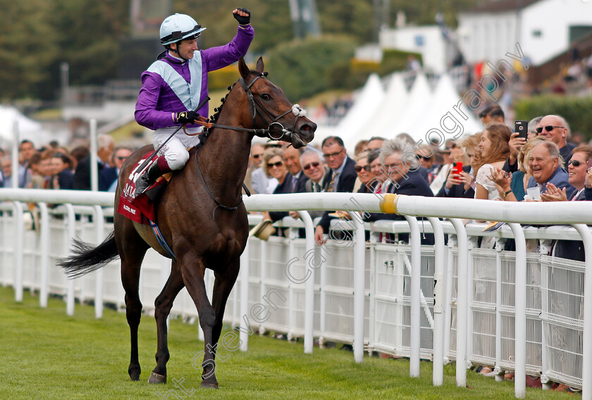 Alcohol-Free-0009 
 ALCOHOL FREE (Oisin Murphy) after The Qatar Sussex Stakes
Goodwood 28 Jul 2021 - Pic Steven Cargill / Racingfotos.com