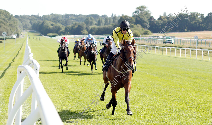 Sir-Arthur-Dayne-0001 
 SIR ARTHUR DAYNE (Silvestre De Sousa) wins The Sky Sports Racing On Virgin 535 Nursery
Lingfield 24 Jul 2019 - Pic Steven Cargill / Racingfotos.com