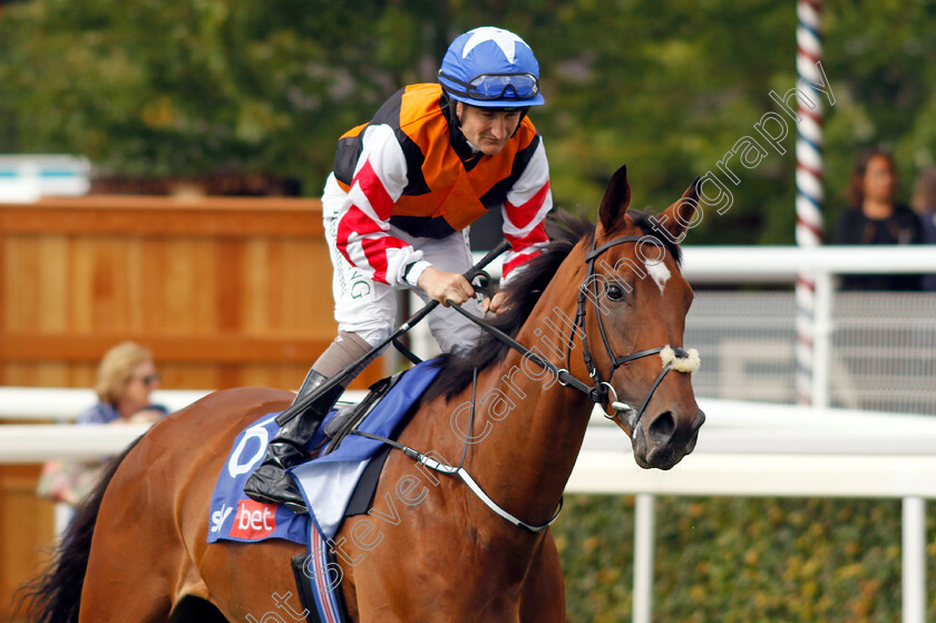 Yashin-0001 
 YASHIN (Shane Foley)
York 26 Aug 2023 - Pic Steven Cargill / Racingfotos.com