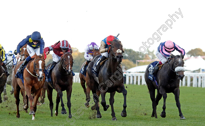 Kind-Of-Blue-0003 
 KIND OF BLUE (centre, James Doyle) beats FLORA OF BERMUDA (right) and SWINGALONG (left) in The Qipco British Champions Sprint Stakes
Ascot 19 Oct 2024 - Pic Steven Cargill / Racingfotos.com