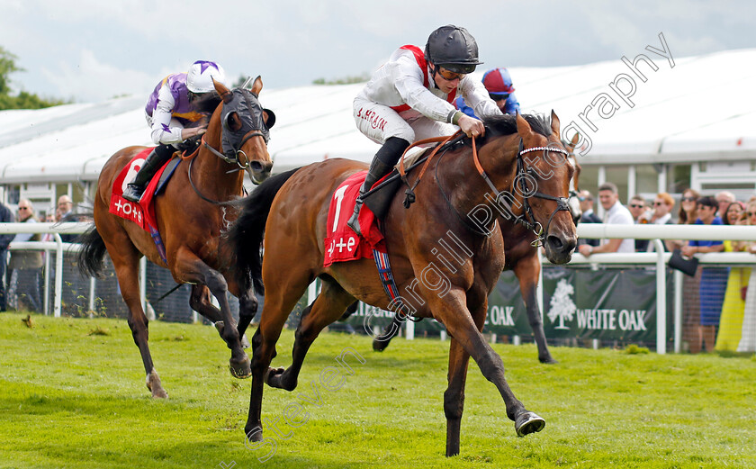 Hamish-0004 
 HAMISH (Tom Marquand) wins The tote.co.uk Ormonde Stakes
Chester 11 May 2023 - Pic Steven Cargill / Racingfotos.com